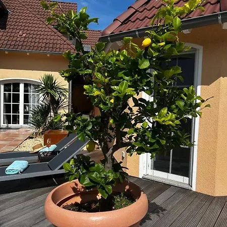 度假居 Saras Weinchalet