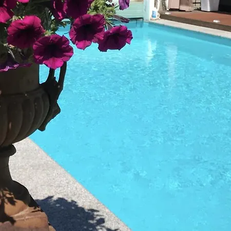 Tatil Evi Saras Weinchalet